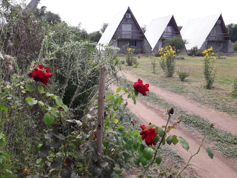 Cabanas Laukan San Agustín de Valle Fértil エクステリア 写真